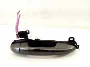 Türaußengriff hinten rechts TOYOTA RAV 4 IV (_A4_) 2.0 D 4WD (ALA41_)