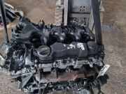 Motor ohne Anbauteile (Benzin) Ford C-Max () 7M5Q6010EA