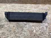 Ladeluftkühler RENAULT MASTER III Furgon (FV) 2.3 dCi 165 FWD 144960015R