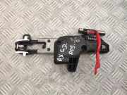 Türgriffrahmen Lexus RX 4 (L2)