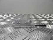 Innenleuchte Renault Scenic III (JZ) 8200024033C