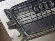 Vorderer oberer Gitter AUDI Q5 (8R) 2.0 TDI quattro