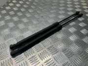 Heckklappe Gasdruckfeder links AUDI A6 Allroad (4FH, C6) 3.0 TDI quattro