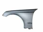 Kotflügel vorne links