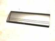 Türverkleidung rechts vorne Nissan Terrano II (R20) 808707F600