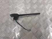 Antenne Dach Nissan Juke (F15)