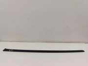 Zierleiste Windschutzscheibe Frontscheibe AUDI Q4 Sportback (F4N) 45 e-tron sportback 89A854328