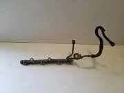 Einspritzleiste Lexus RX 3 (L1)