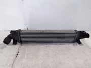 Ladeluftkühler FORD FOCUS II (DA_, HCP) 1.6 TDCi