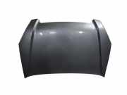 Motorhaube HONDA CR-V II (RD_) 2.0 (RD4)