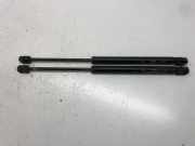 Heckklappe Gasdruckfeder rechts AUDI A8 D2 (4D2, 4D8) 2.5 TDI 23250