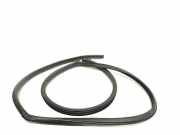 Türgummi rechts vorne Toyota Verso (R2)