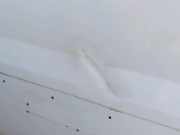 Schiebetür rechts Fiat Scudo Kasten (270)