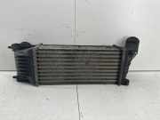 Ladeluftkühler PEUGEOT 407 (6D_) 2.0 HDi 135 874823NE