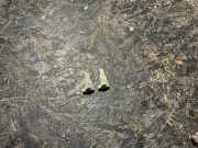 Temperatursensor BMW 5 Gran Turismo (F07) 530 d 107201419