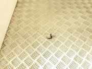 Temperatursensor VW GOLF VIII (CD1) 1.0 TSI 1K0907543A