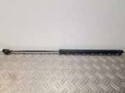 Heckklappendämpfer links VW New Beetle (9C) 1C0827550A
