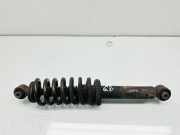 Stoßdämpfer hinten rechts CITROËN C5 II Break (RE_) 1.6 HDi (RE8HZB)