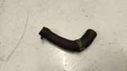 Schlauch Kühlung AUDI A3 Sportback (8YA) 35 TFSI 5q0121063q