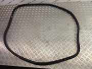 Türgummi rechts vorne BMW X3 (F25) 7205697