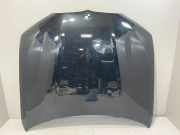 Motorhaube BMW X7 (G07) xDrive 40 i 7933467