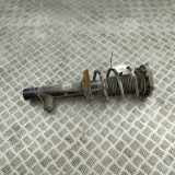 Stoßdämpfer vorne rechts SKODA ENYAQ iV SUV (5AC, 5AZ) 80X 4x4 1EA413032R