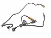 Klopfsensor BENTLEY FLYING SPUR (3W_) 6.0 07C905377T