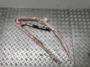 SRS Modul Dach links CITROËN C-CROSSER (EP_) 2.2 HDi 610880801B