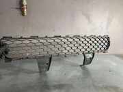 Gitter vorne unten TOYOTA COROLLA Verso (ZER_, ZZE12_, R1_) 2.0 D-4D (CUR10_) 531120F030