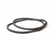 Türdichtung Audi A6 Avant (4F, C6) 4F9833721