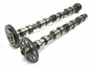 Einlassnockenwelle TOYOTA COROLLA Verso (ZER_, ZZE12_, R1_) 2.2 D-4D (AUR10_)