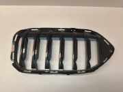 Gitter Grill vorne links BMW 2 Gran Coupe (F44) 220d 7077301
