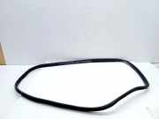 Türgummi links hinten Toyota Auris Touring Sports (E180)