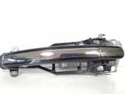Türgriff links vorne VW Phaeton (3D) 3D0837885N