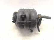 Ansaugbrücke NISSAN PIXO (UA0) 1.0 1027229S01