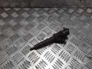 Einspritzdüse RENAULT MEGANE II (BM0/1_, CM0/1_) 1.5 dCi 8200100272