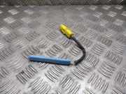 Reifendrucksensor PEUGEOT 207 (WA_, WC_) 1.6 16V RC s118540003 s118540003b