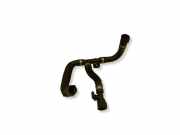 Schlauch Kühlung CITROËN C4 III (BA_, BB_, BC_) e-C4 (BCZKXC) 700