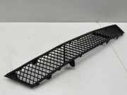 Kühlergrill unten BMW 5er Gran Turismo (F07)