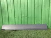 Türverkleidung links Mercedes-Benz Sprinter 5t Kasten (906) 9066900762