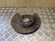 Spritzblech für Bremsscheibe Ford Transit Connect (P*2) DV612K317AA