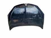 Motorhaube RENAULT MEGANE III Hatchback (BZ0_) 1.5 dCi (BZ09, BZ0D)