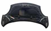 Motorhaube FIAT 500L (351_, 352_) 1.3 D Multijet
