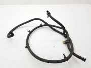 Düsenkörper Maserati Quattroporte V () N67063