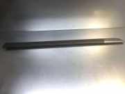 Türverkleidung vorne links RENAULT MEGANE II (BM0/1_, CM0/1_) 1.9 dCi (BM0G, CM0G) 8200073469