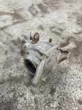 Differenzialgetriebe hinten MERCEDES-BENZ C (W205) C 220 BlueTEC / d (205.004) GD01776