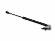 Heckklappe Gasdruckfeder links NISSAN LEAF (ZE0) Electric 3162080500N