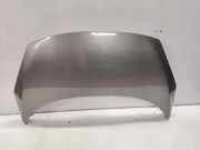 Motorhaube RENAULT GRAND SCÉNIC III (JZ0/1_) 1.5 dCi