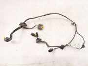 Türverkabelung hinten links PEUGEOT 807 (E) 2.2 HDi 1495597080