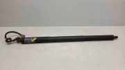 Heckklappe Gasdruckfeder links JEEP GRAND CHEROKEE IV (WK, WK2) 3.0 CRD V6 4x4 736604024 55399277AE